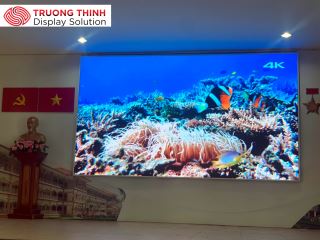 Màn hình LED trong nhà P4.81 250 inch (LEDP4.81IN250)